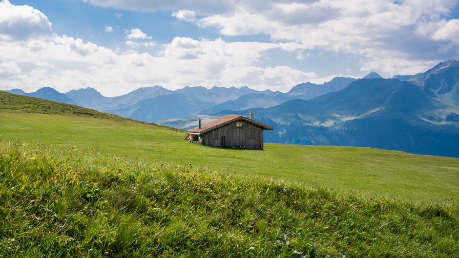Velika planina